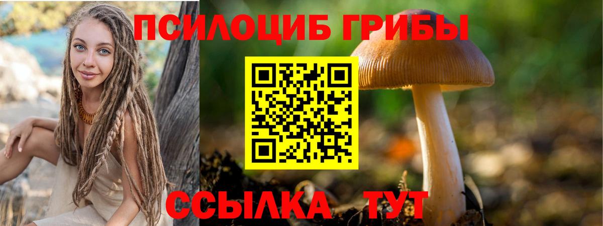 Галлюциногенные грибы мухоморы Гулькевичи